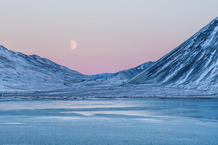 Arctic - the Winners and Losers of Climate Change