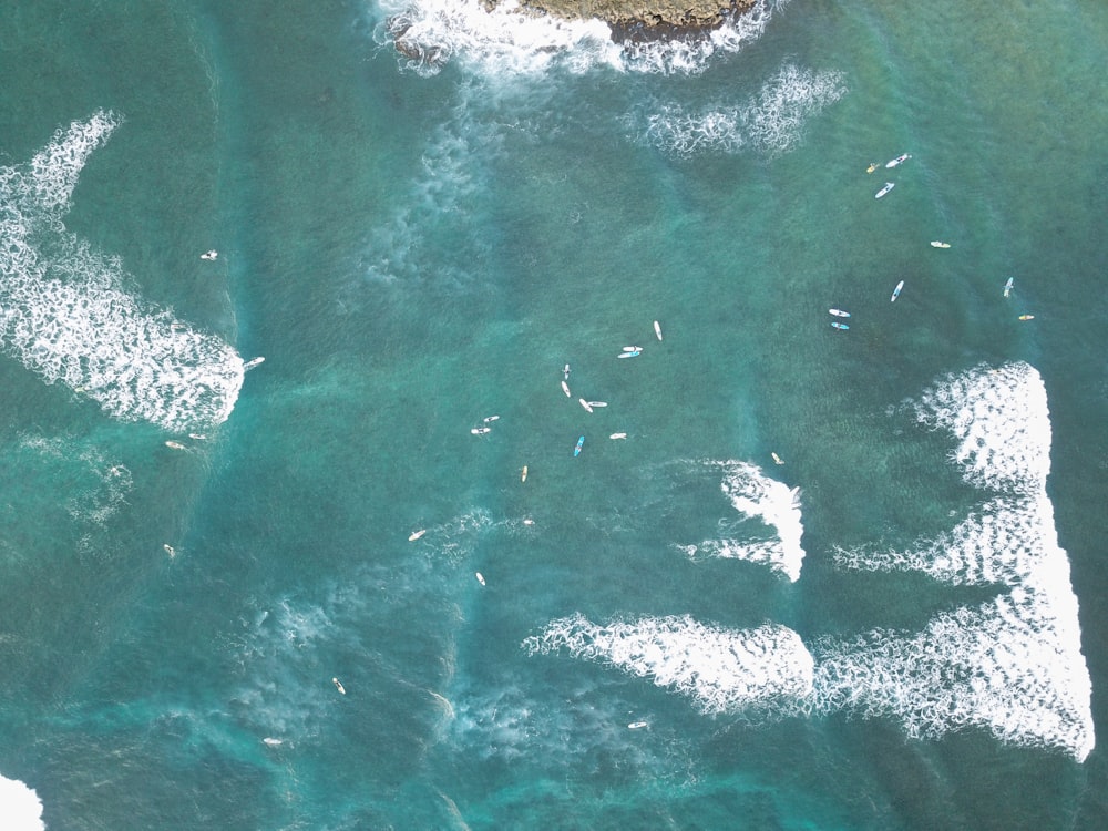 ocean under sunny sky