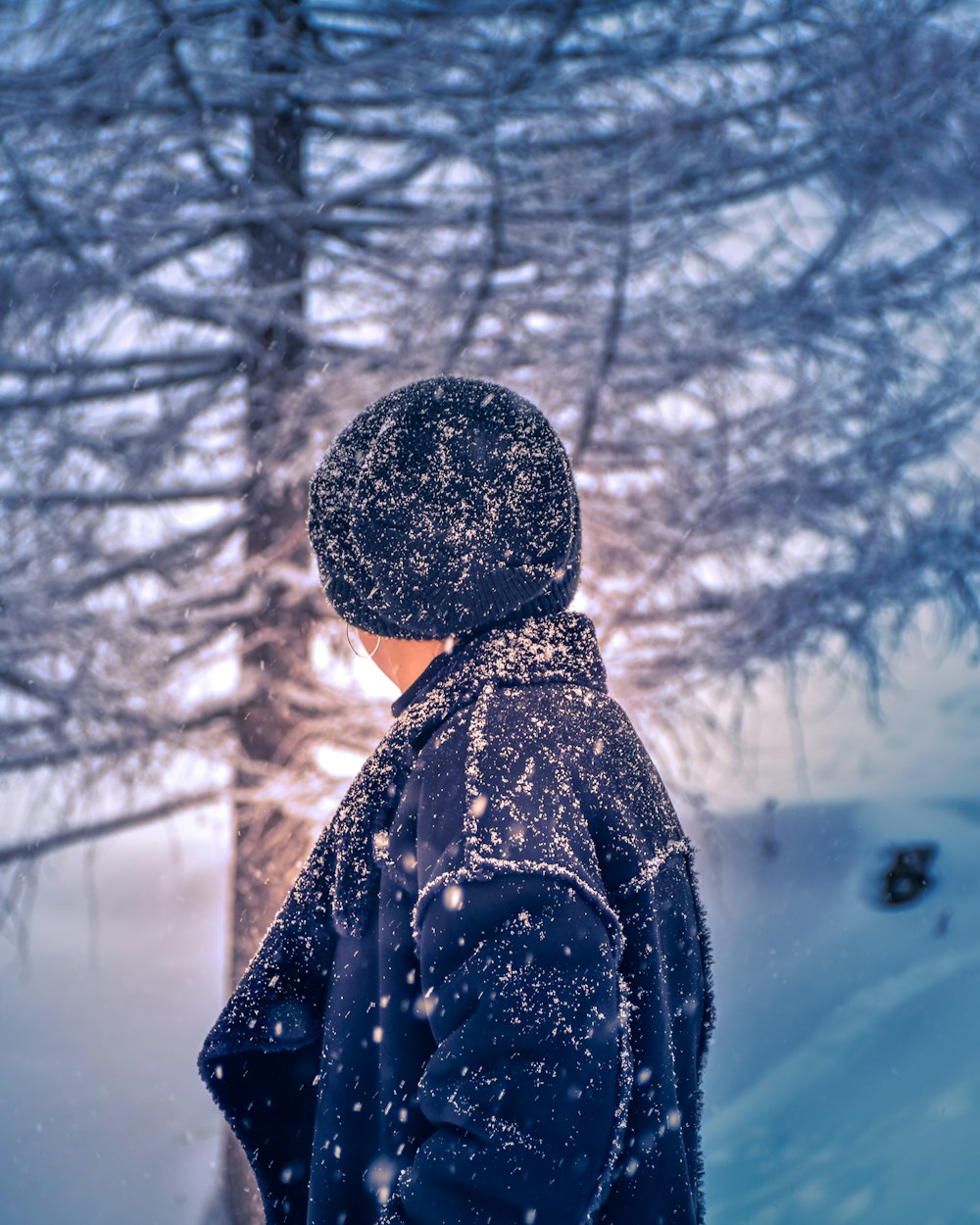 person looking at tree