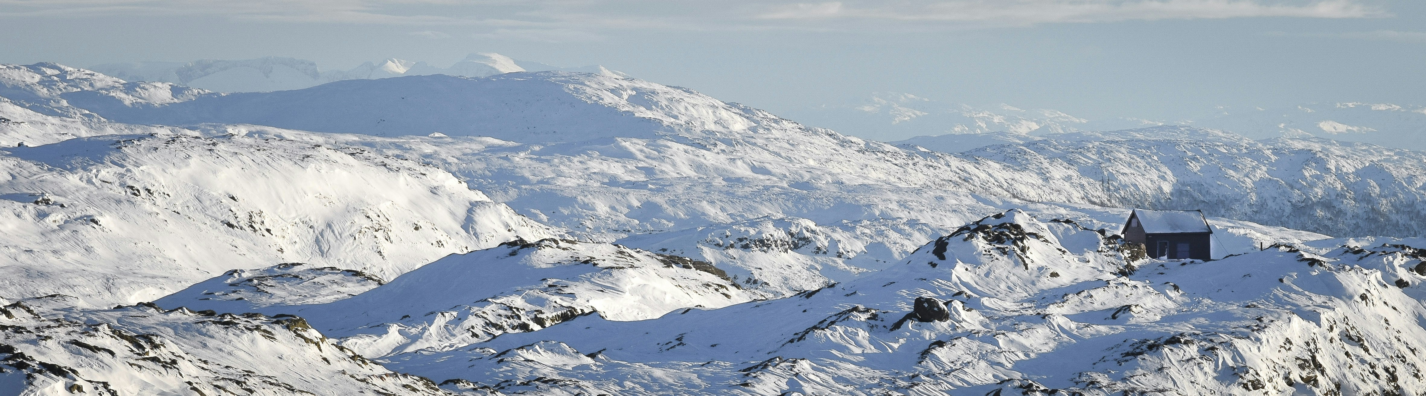 Photo by lachlangowen