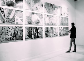 person looking at gallery art pieces on wall