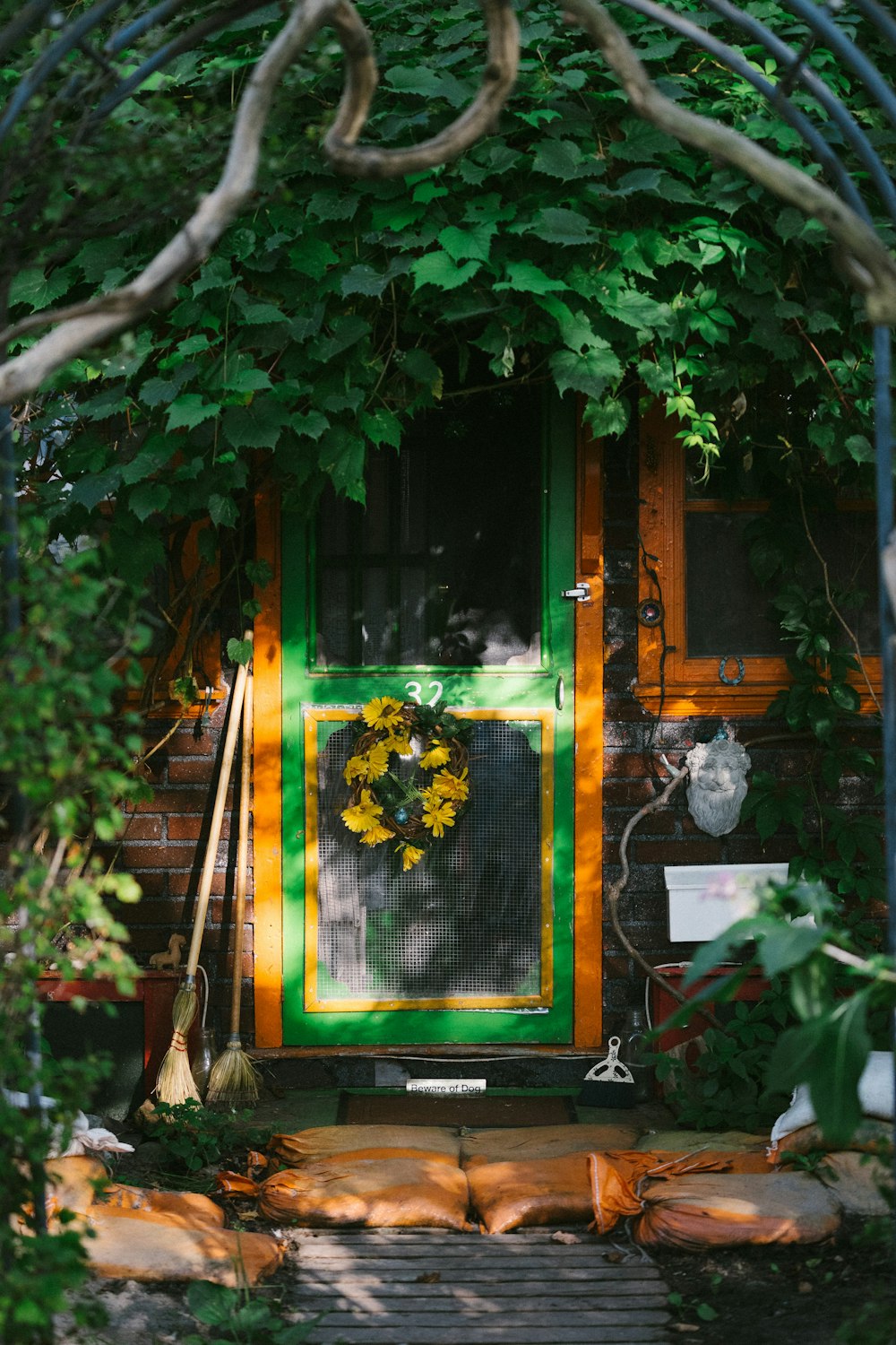 Photo de Porte pleine lumière verte avec accent de fleur