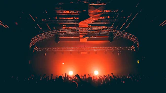 people gathering at the concert