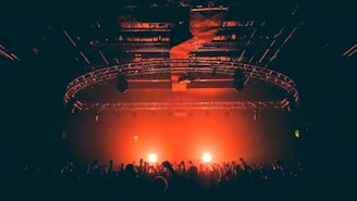 people gathering at the concert