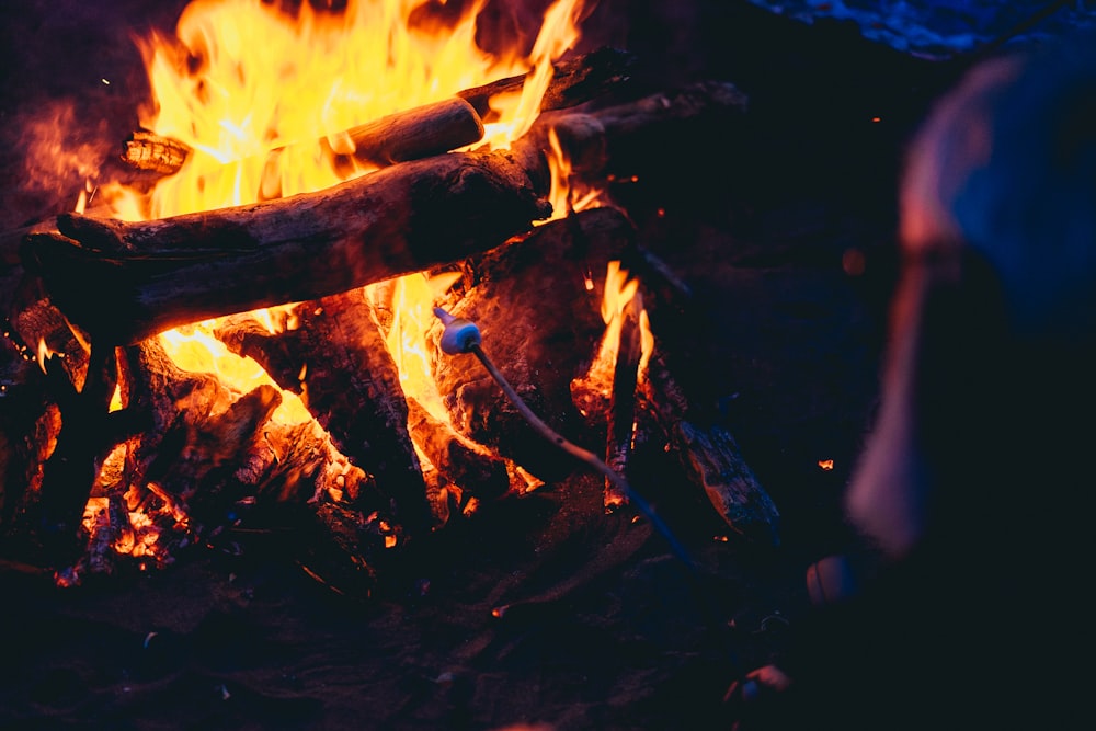 feu de joie pendant la nuit