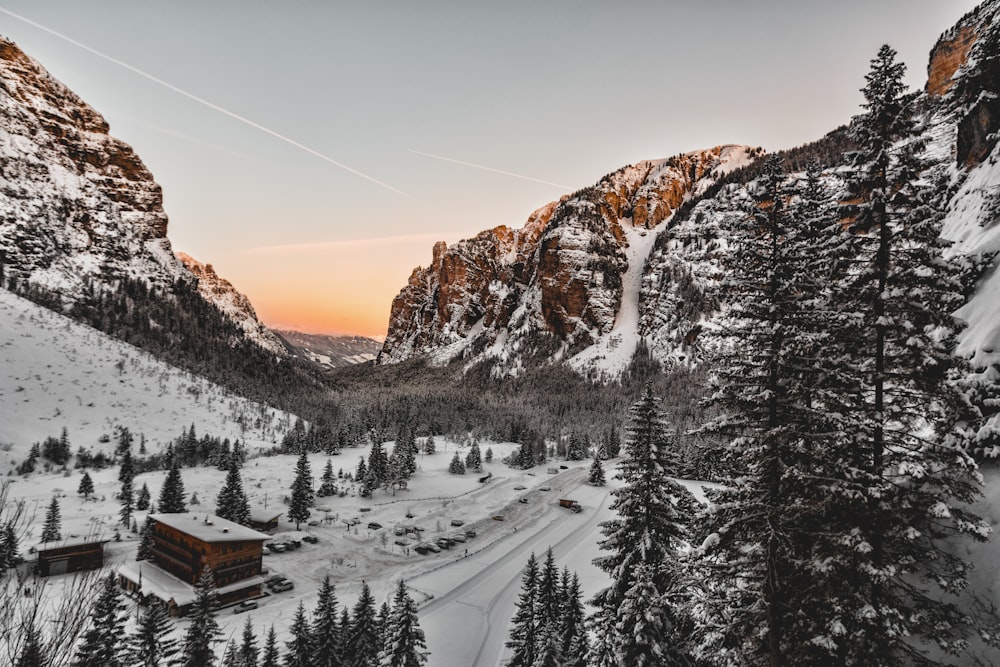 roadway cover by snow with pine trees and mountain