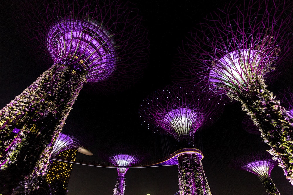 worm's eye view photography of purple towers