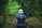 person in blue shirt walking between bamboo trees