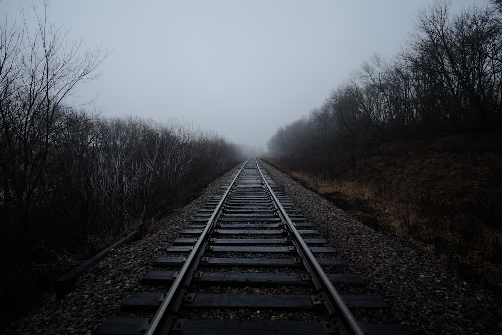 Schwarze Eisenbahn mit Nebel bedeckt
