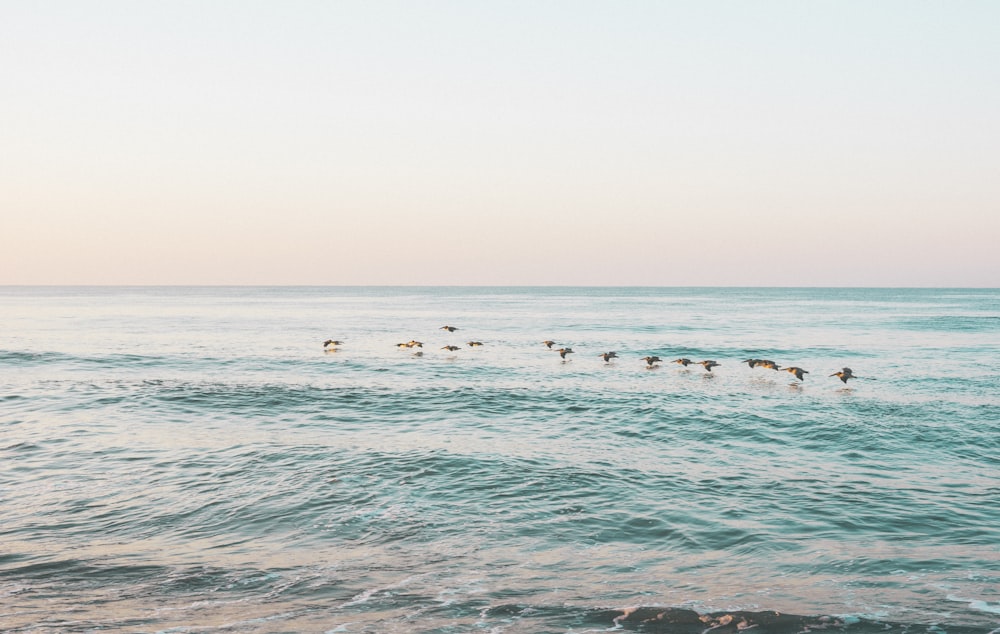 body of water under clear sky