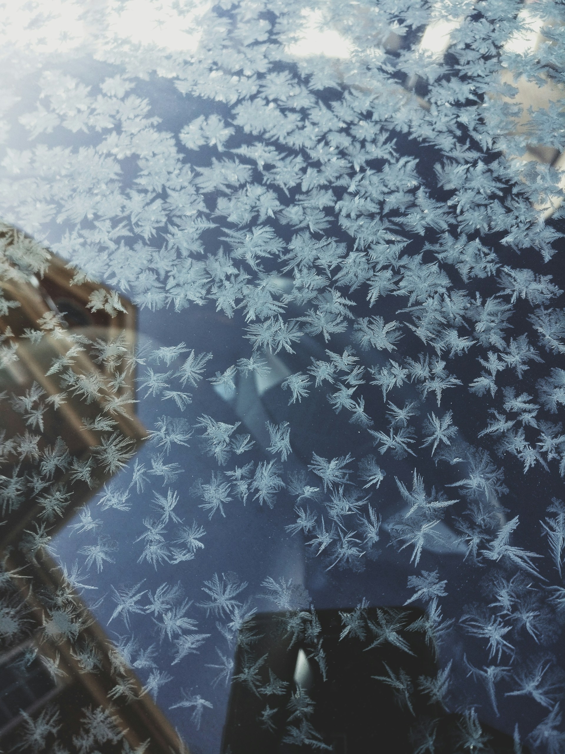 woman wearing yellow long-sleeved dress under white clouds and blue sky during daytime