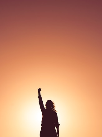 silhouette of person holding their fist in the air