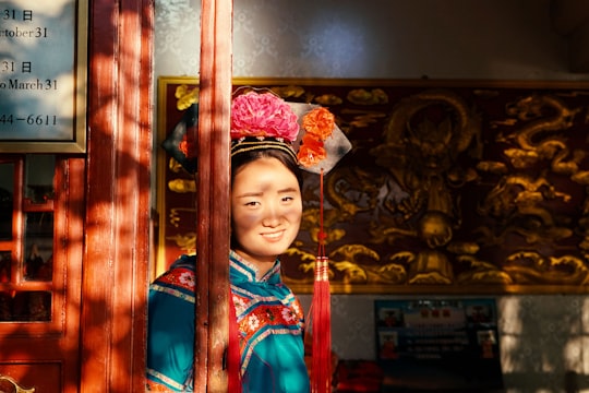 woman leaning on brown wooden wall at daytime in Summer Palace China