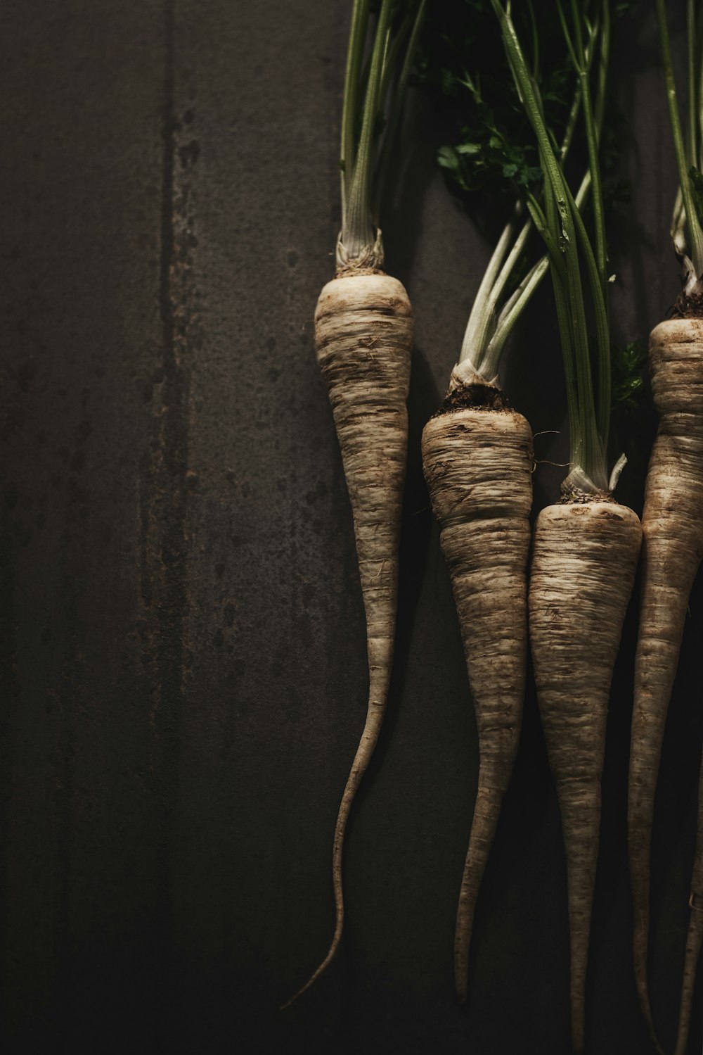 macro photography four brown carrots