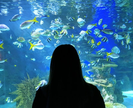 A person with long hair is silhouetted against a large aquarium, filled with various colorful fish swimming among coral and aquatic plants. The water appears clear with hues of blue, and the fish display a range of vibrant colors including yellow, white, black, and grey.