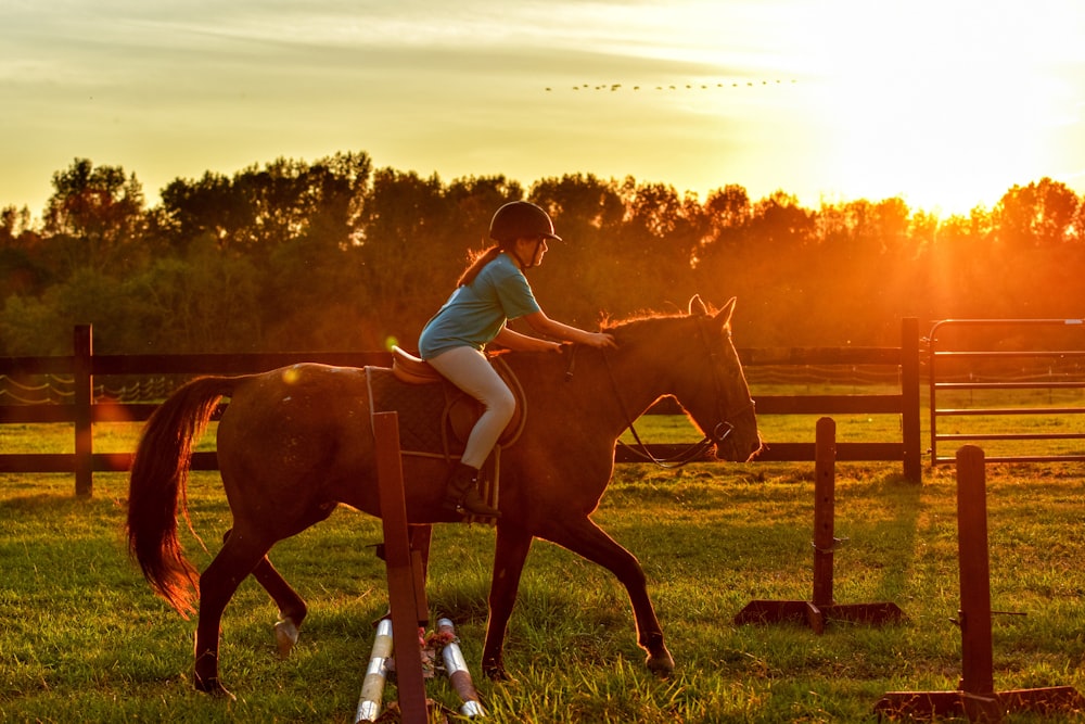 Mädchen reitet Pferd in der Nähe von Rampen während des Sonnenuntergangs