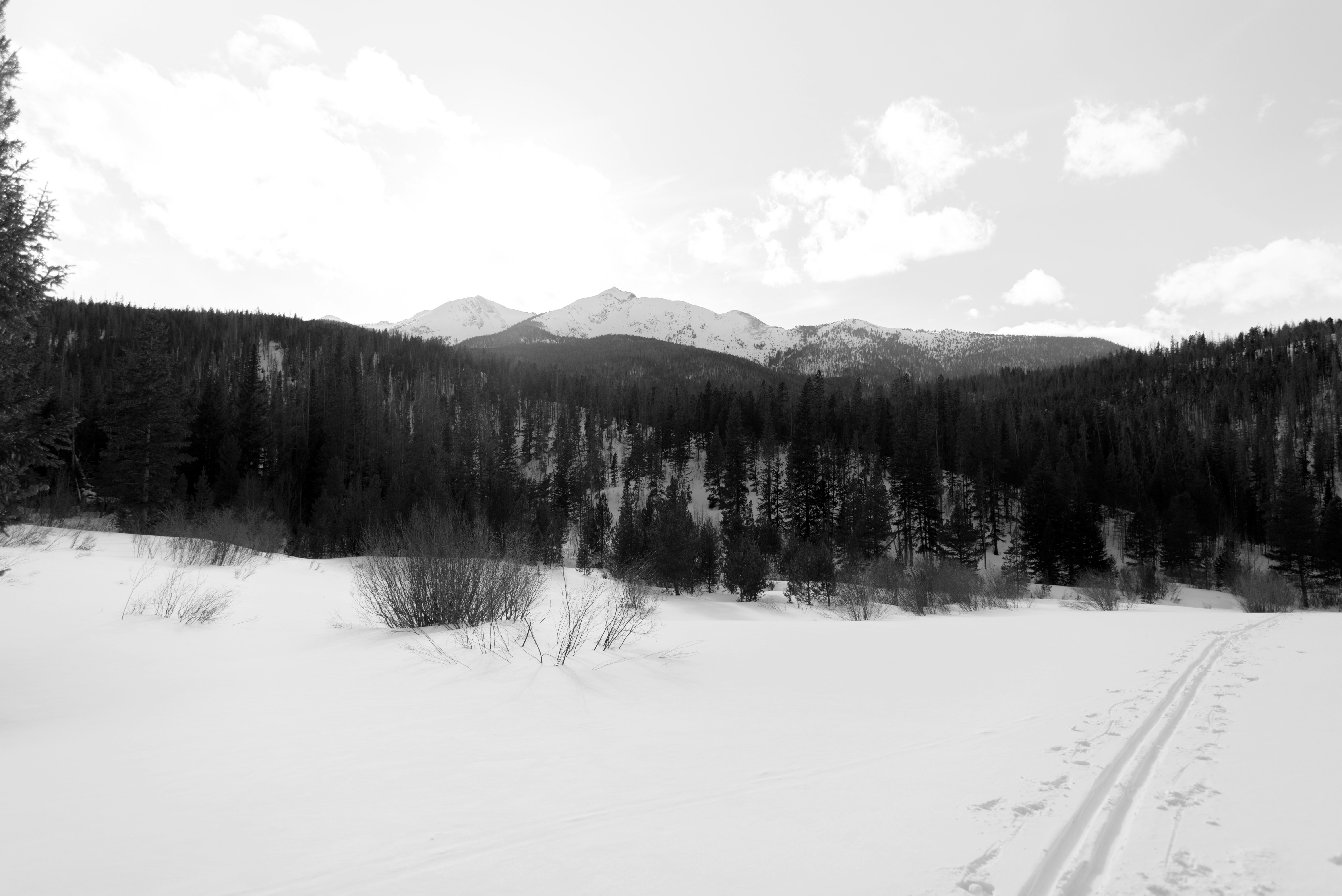 Photo by nathananderson