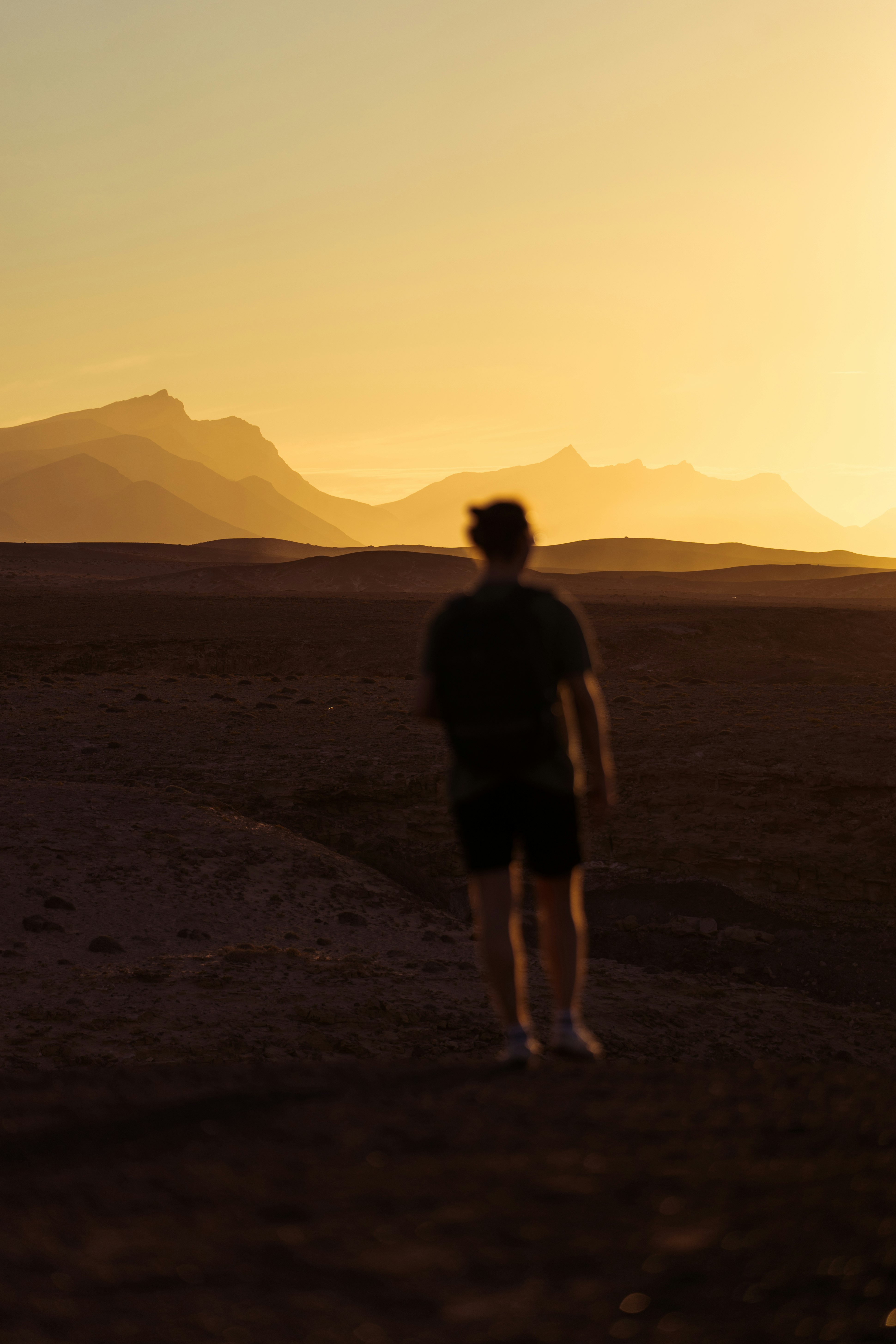 person walking on desert during golden hour