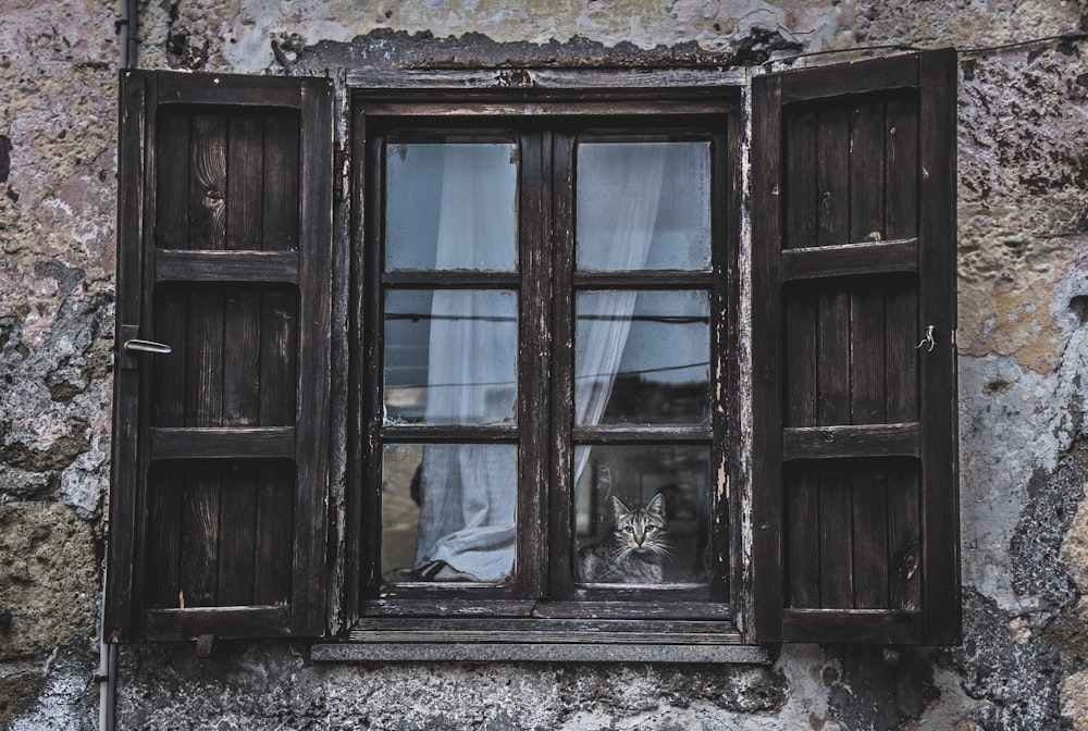 schwarzes Holzfenster mit blauem Vorhang bei Tag