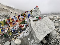 gray rock under gray fog