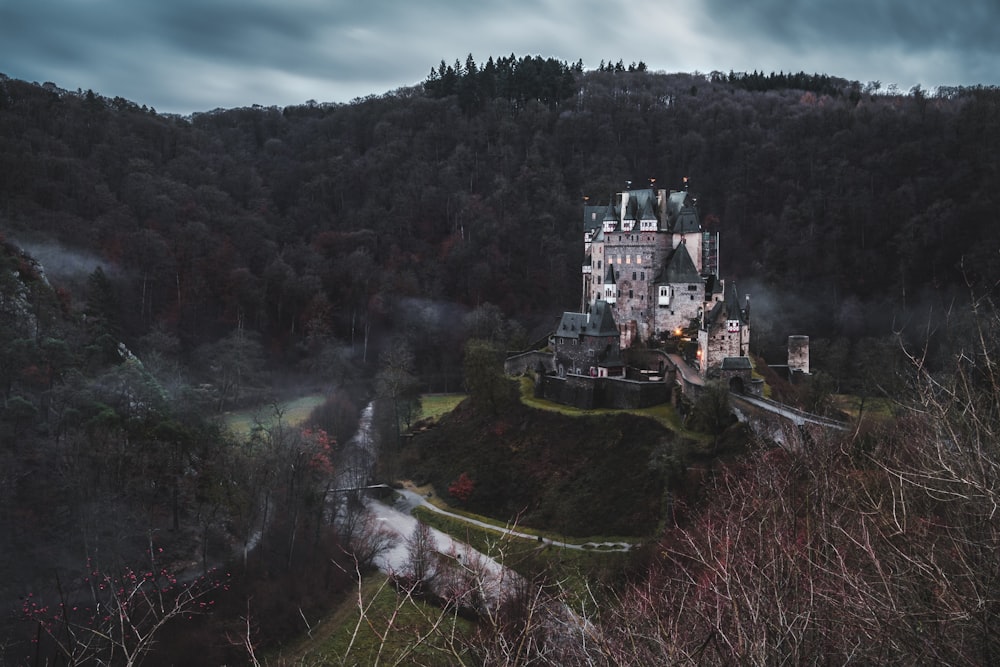 gray concrete castle surrounded by trees under gray skies