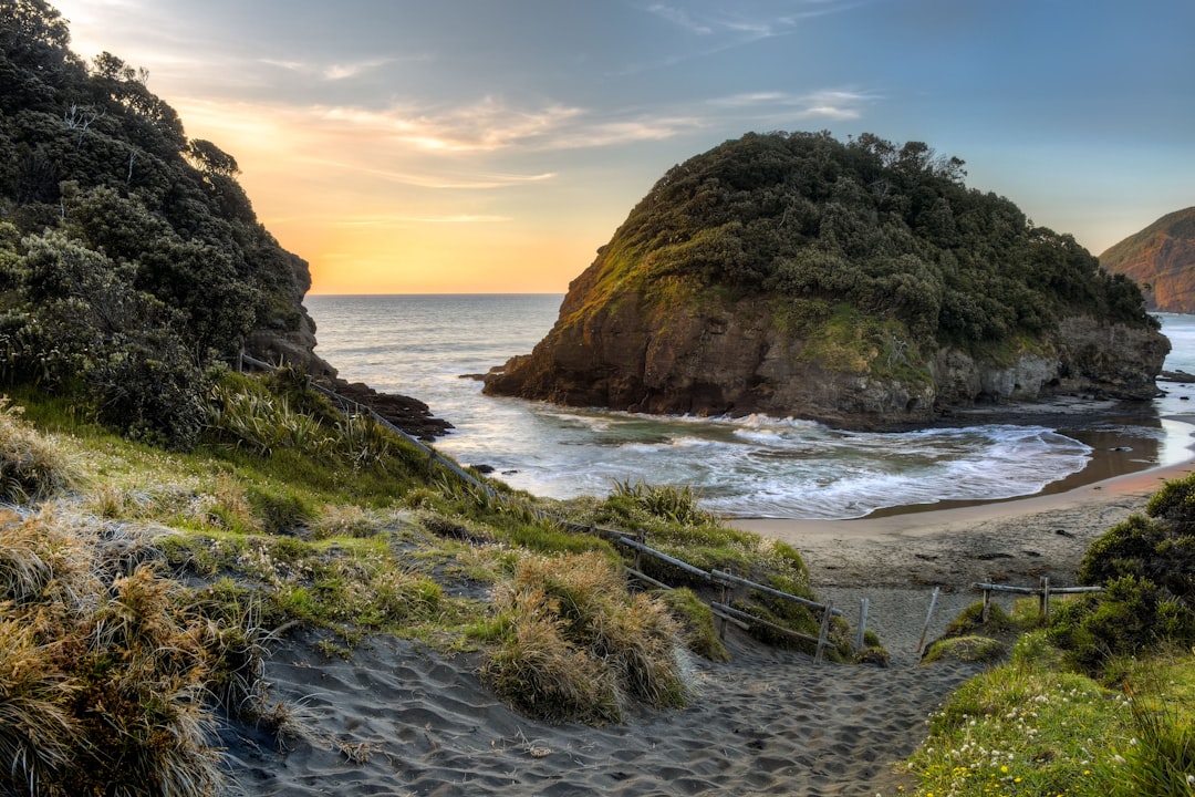 Headland photo spot O'neill Bay Muriwai Gannet Colony