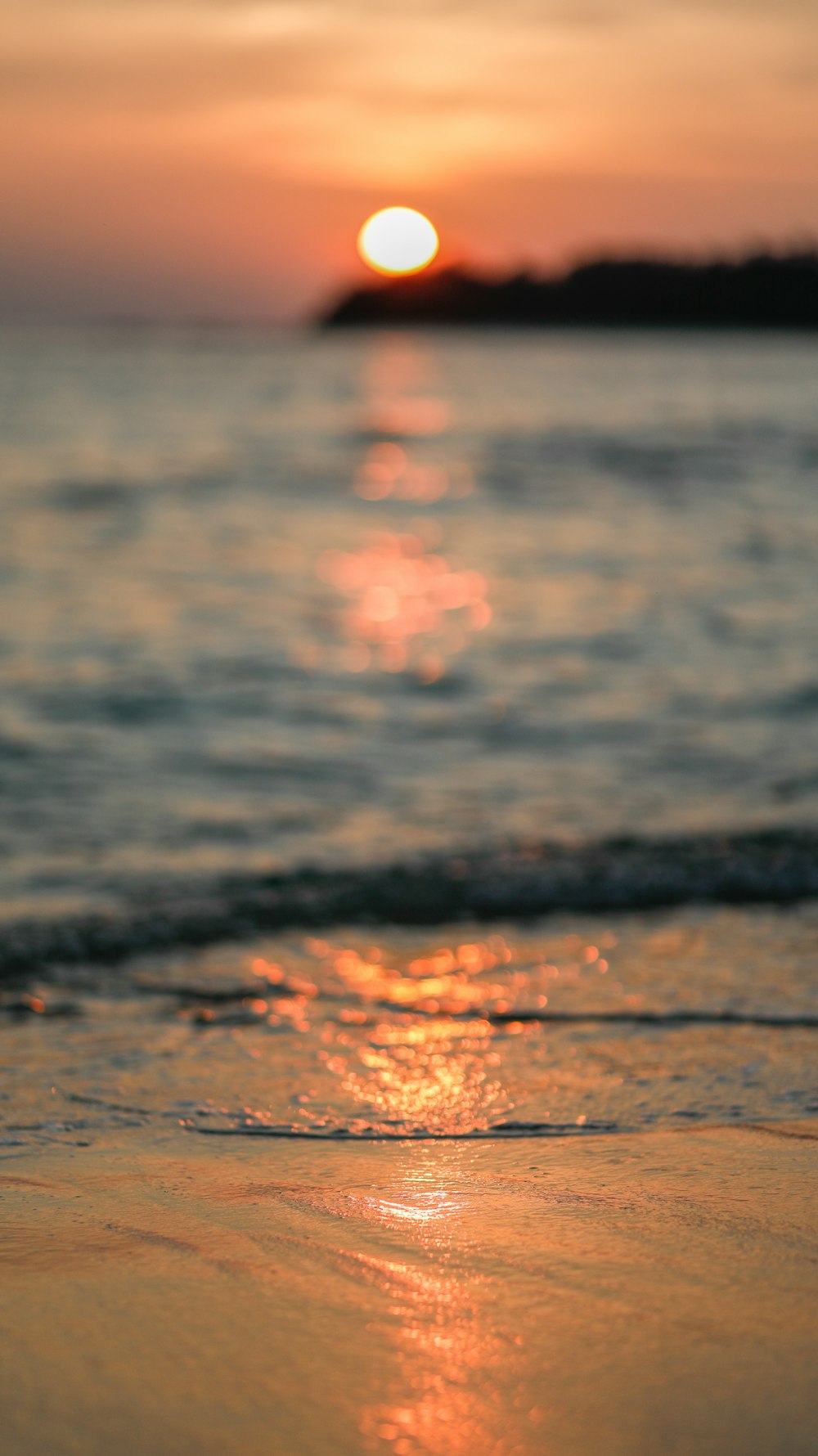 selective focus photography of shoreline during golden hour