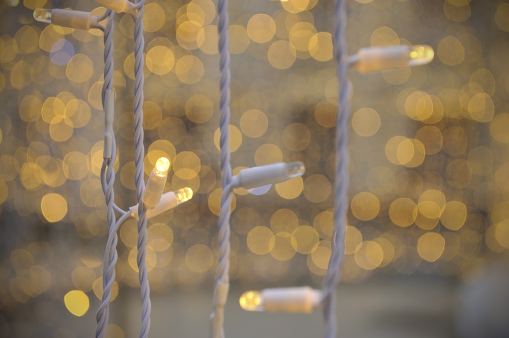 selective focus photo of white string lights