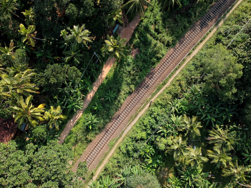aerial photograph of train rails between trees