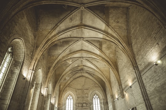 worm's eye view photography of cathedral in Palais des Papes France