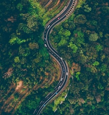 top view of cars on road surrounded by trees