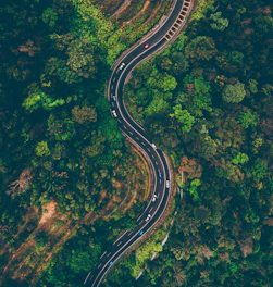 top view of cars on road surrounded by trees