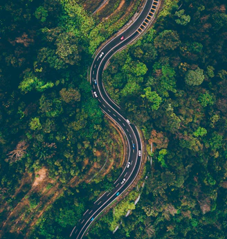 top view of cars on road surrounded by trees