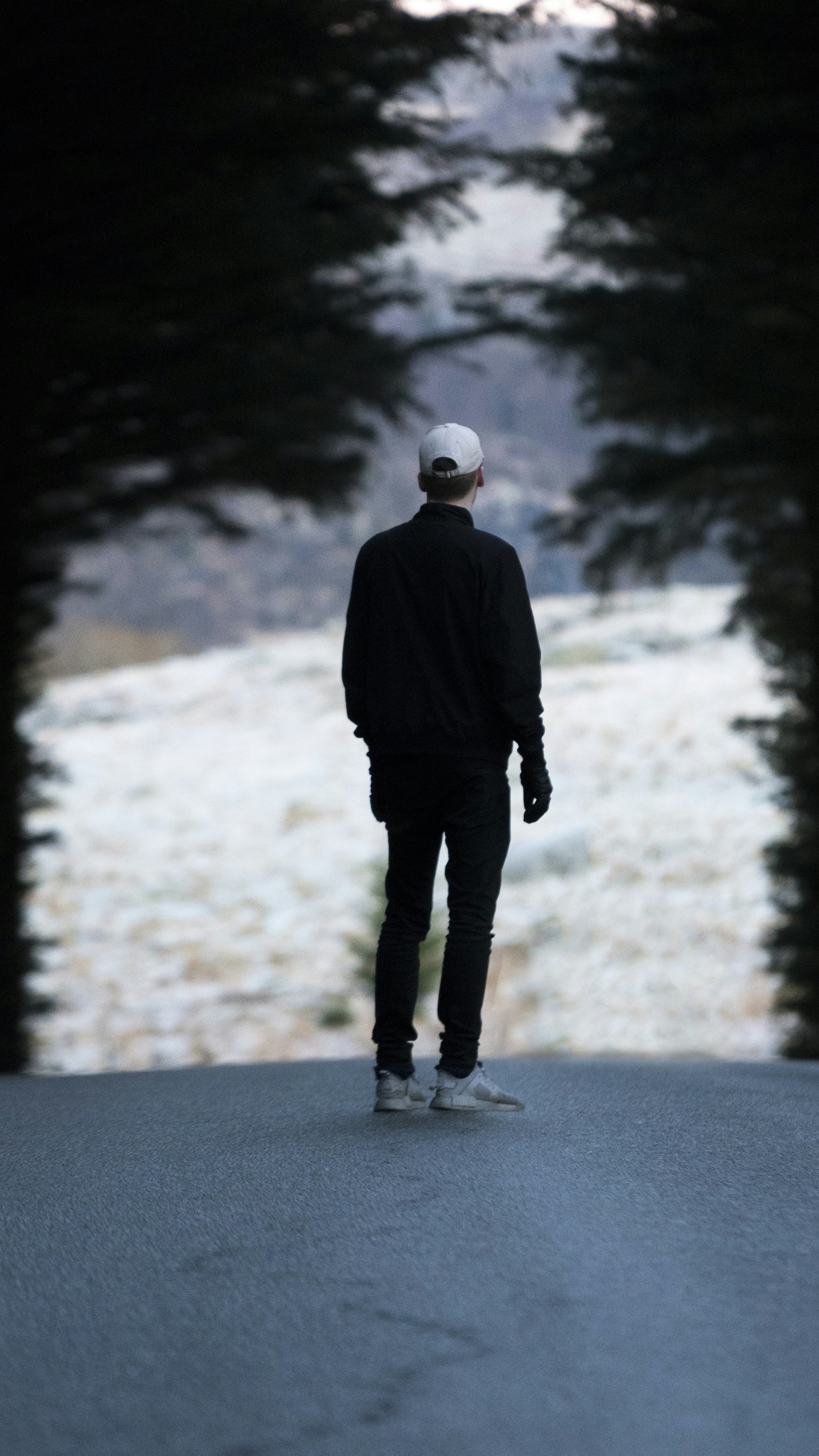 人为什么活的那么难