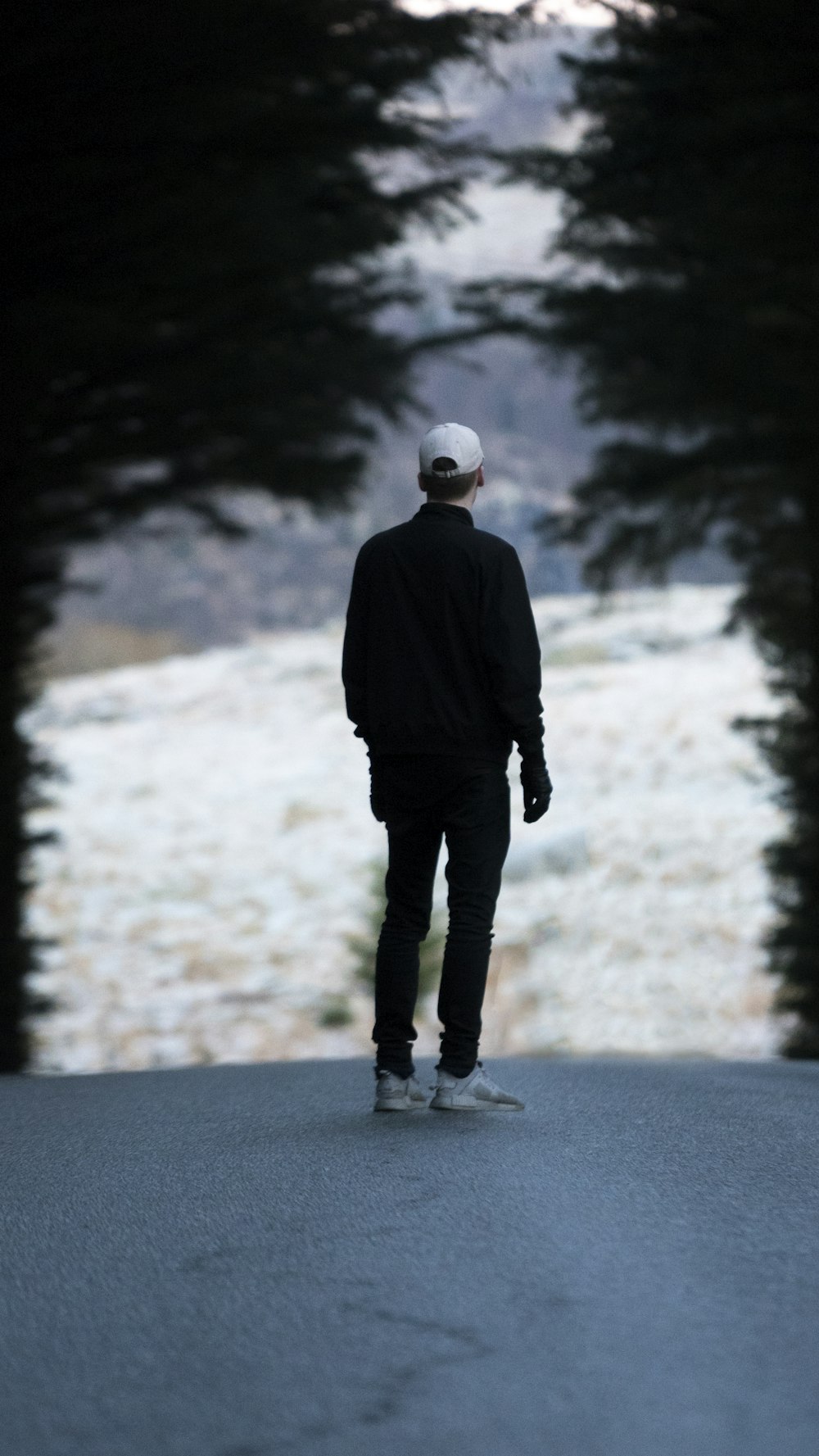 man standing on pathway with trees