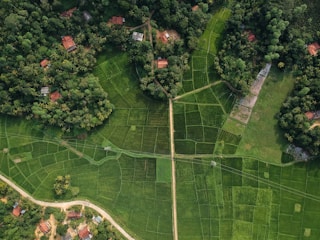 aerial view of green fields