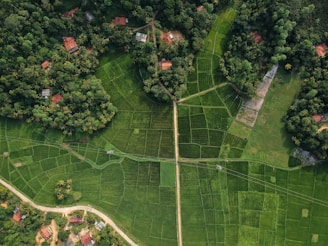 aerial view of farmland and property lines for land mapping and survey analysis