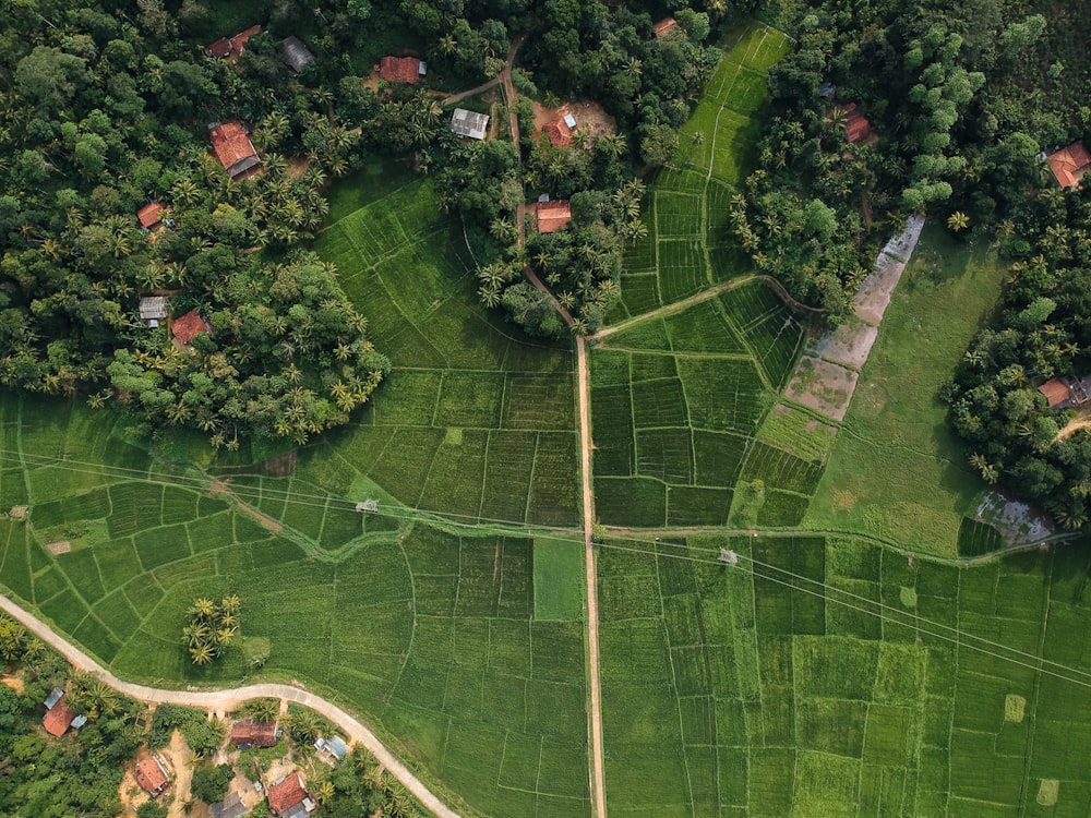 Vista aérea de campos verdes