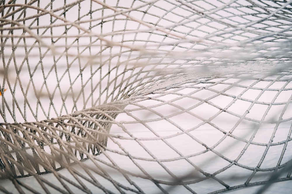 photo of gray net