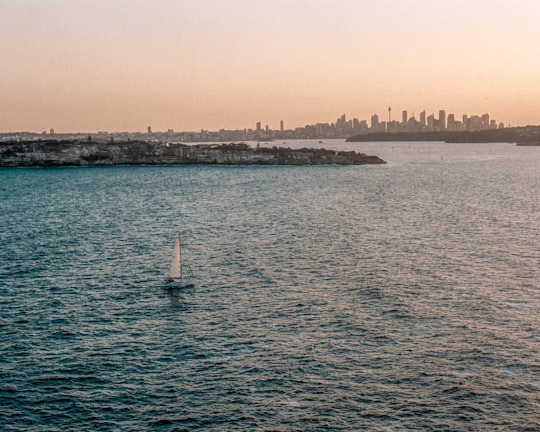 sailboat in the middle of the sea in Manly Australia