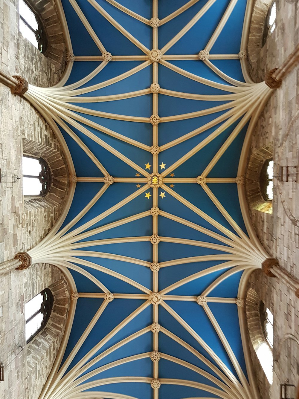 closeup photo of brown and blue ceiling
