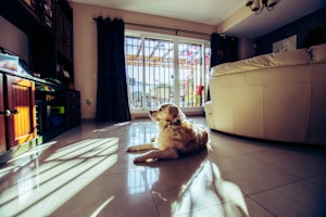 Comfort Mat
