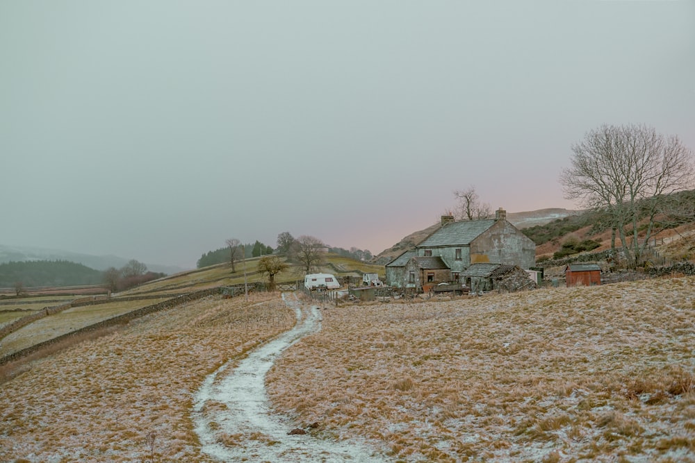 house near withered tree