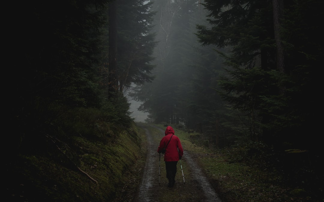 travelers stories about Forest in Bad Herrenalb, Germany