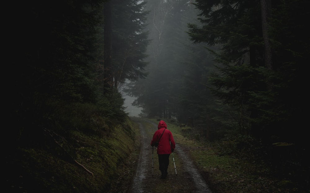a person in a red jacket walking down a path in the woods