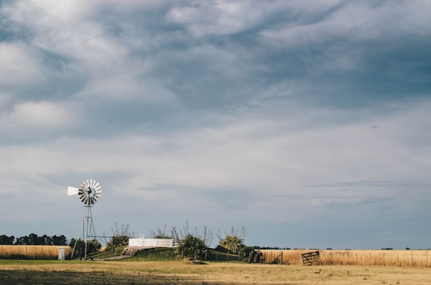 A sunlit windmill towering over green pastures at Sierra Windmill Mini Farm.