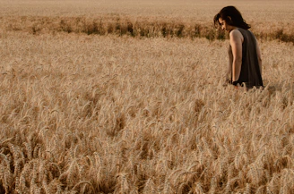 Farmer standing in a field at sunset, looking thoughtfully over crops with concern.