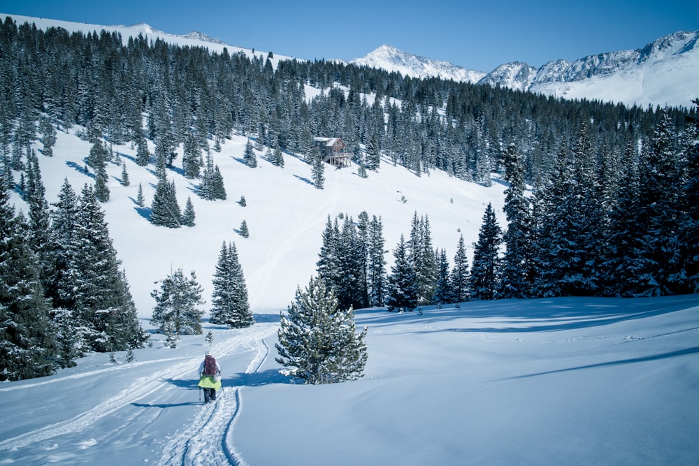 person skiing on mountain