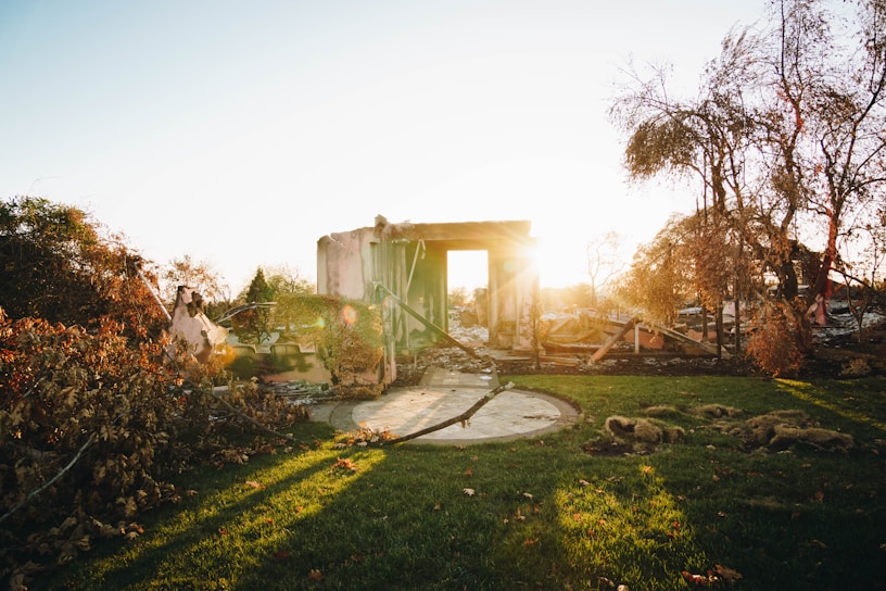 A sunlit scene of destruction where the remnants of a building stand amidst debris and charred trees. The sunlight casts long shadows over the grass, highlighting the stark contrast between the lush greenery and the scorched surroundings. The ruins suggest a recent fire, with twisted metal and collapsed walls framing the scene.