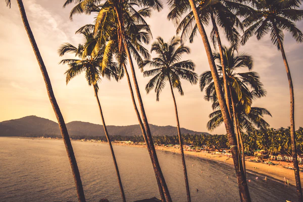 Goa Honeymoon Deluxe